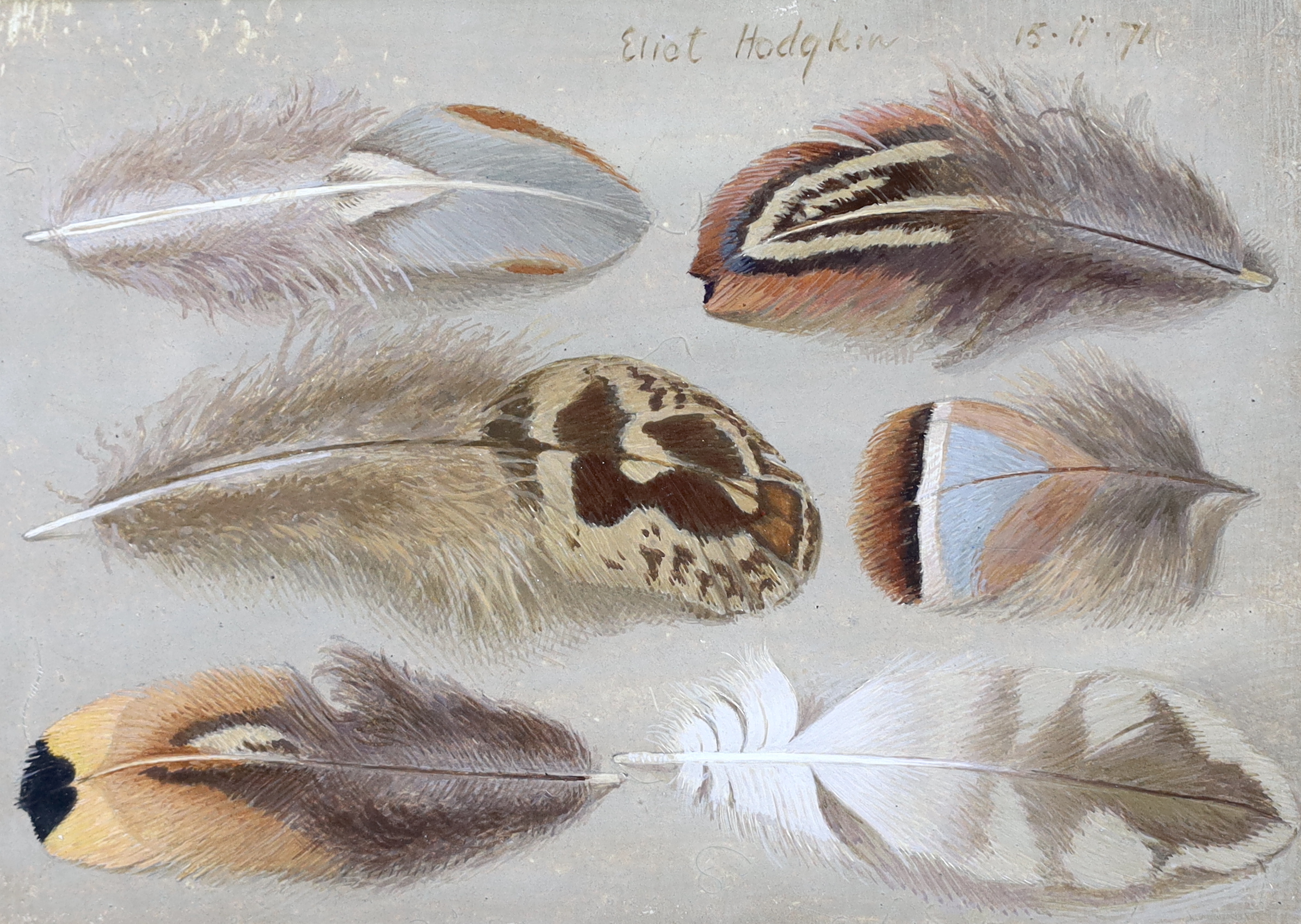 Eliot Hodgkin (English, 1905-1987), Six Feathers, tempera on card, 10.75 x 15.25cm